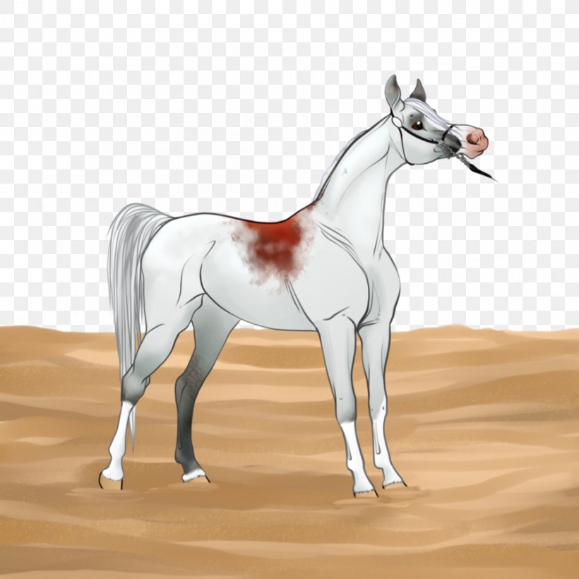 Mule Stallion Mare Colt Foal, PNG, 894x894px, Mule, Akhalteke, Al Shaqab, Arabian Horse, Bridle Download Free