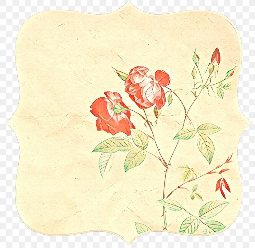 Rose, PNG, 800x800px, Cartoon, Beige, Flower, Paper, Petal Download Free