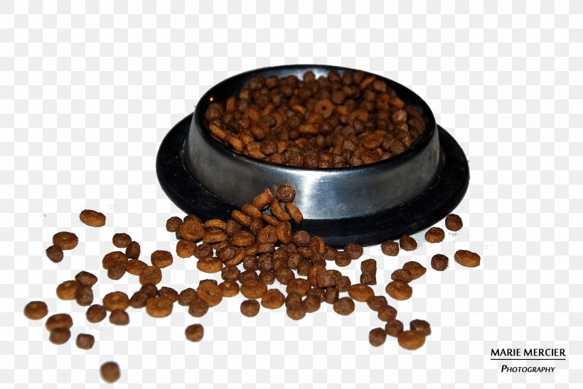Dog Cat Croquette Raw Feeding Food, PNG, 1936x1296px, Dog, Aliment Industriel, Animal Feed, Bean, Caffeine Download Free