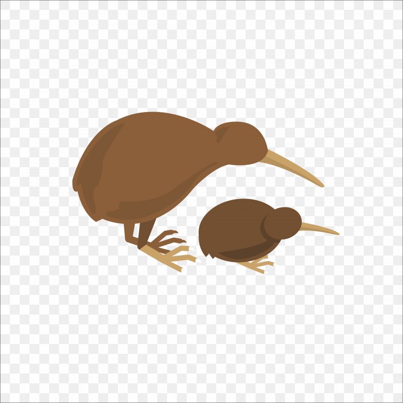 New Zealand Flat Design Icon, PNG, 3547x3547px, New Zealand, Beak, Bird, Duck, Ducks Geese And Swans Download Free