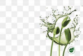 Seaweed - Purified Water Drop Water Bottles PNG