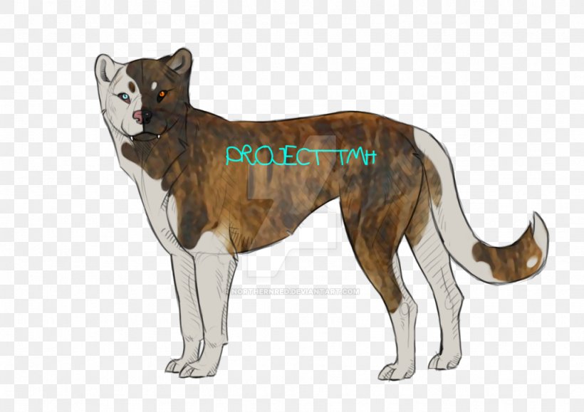 Dog Breed Saarloos Wolfdog Cat Mammal, PNG, 1024x724px, Dog Breed, Breed, Carnivoran, Cat, Cat Like Mammal Download Free