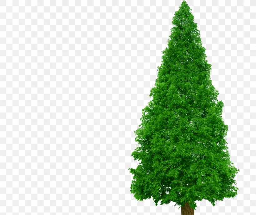 Spruce Pine Clip Art Tree, PNG, 1224x1028px, Spruce, Biome, Christmas Decoration, Christmas Ornament, Christmas Tree Download Free
