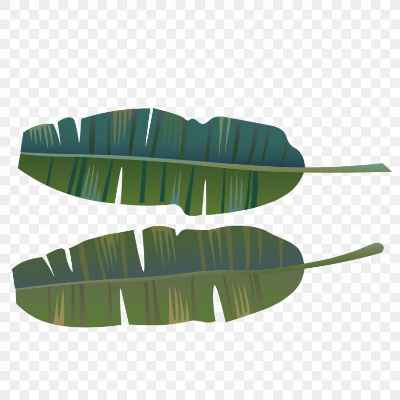 Vector Green Banana Leaves, PNG, 1667x1667px, Leaf, Banana, Computer Graphics, Feather, Gratis Download Free