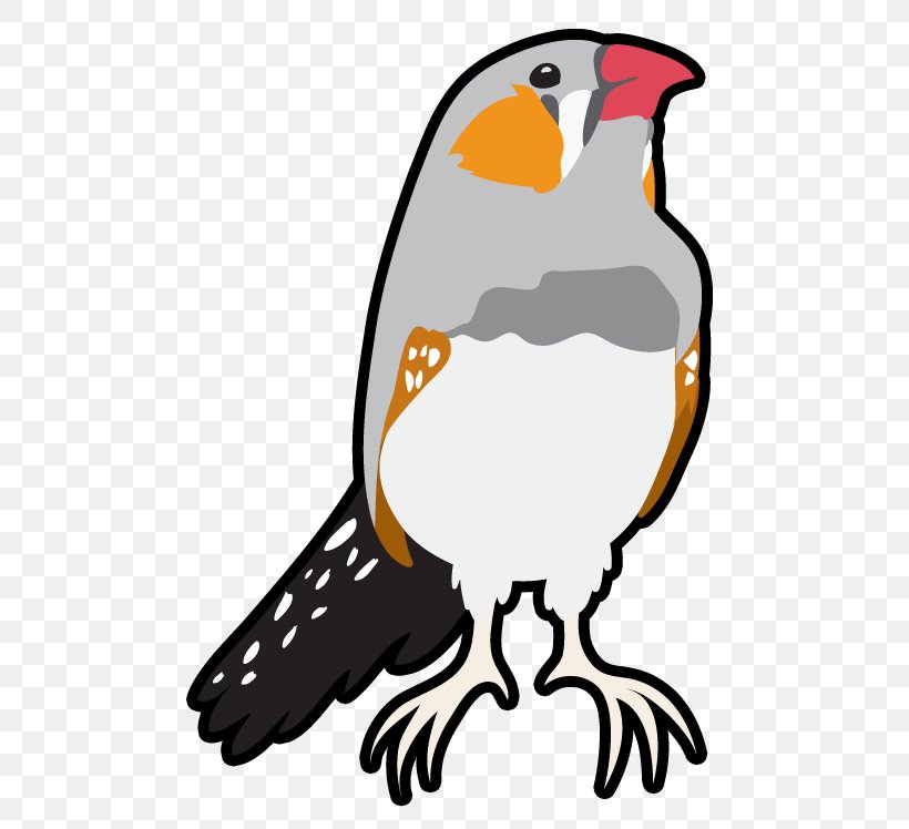 Cartoon Bird, PNG, 535x748px, Beak, Bird, Falconiformes, Peregrine Falcon Download Free