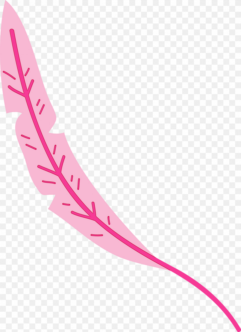 Line Angle Pink M Petal Font, PNG, 2177x3000px, Leaf Cartoon, Angle, Leaf Abstract, Leaf Clipart, Line Download Free