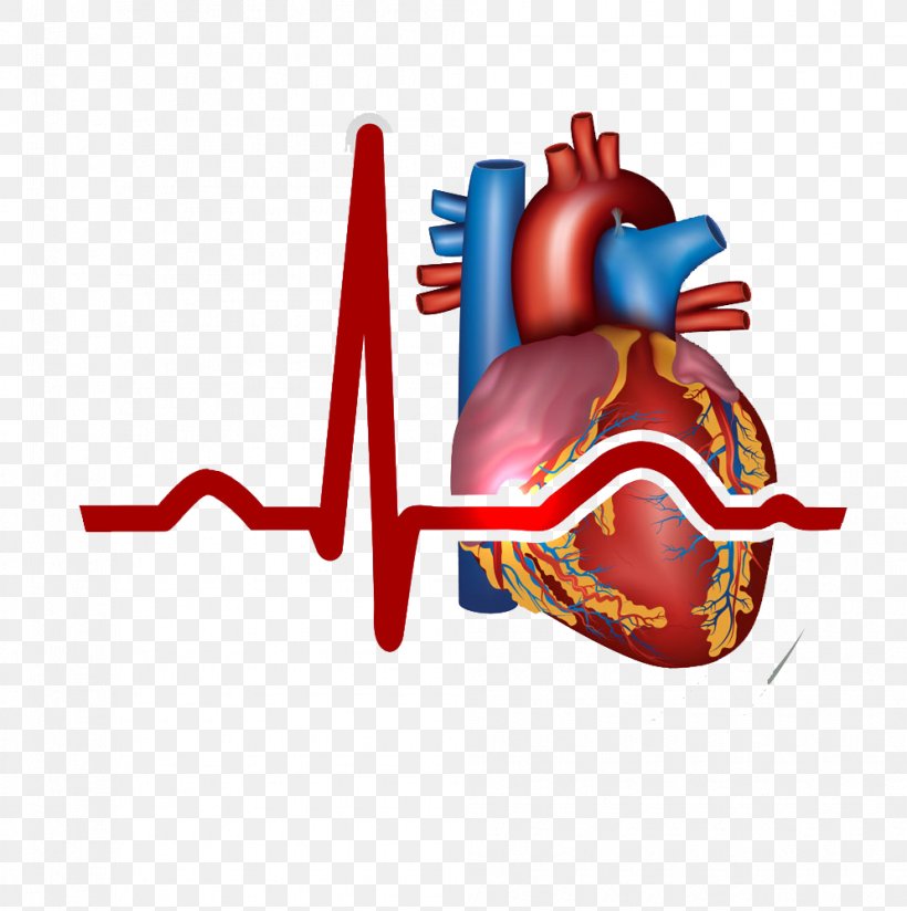 Myocardial Infarction Heart Cardiovascular Disease Symptom, PNG, 995x1000px, Watercolor, Cartoon, Flower, Frame, Heart Download Free