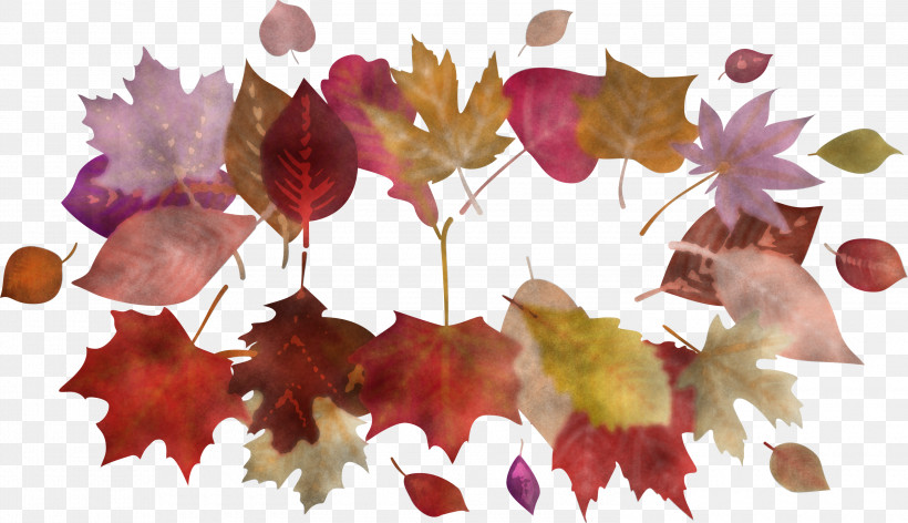 Autumn Frame Autumn Leaves Frame Leaves Frame, PNG, 3000x1729px, Autumn Frame, Autumn Leaves Frame, Bonsai, Branch, Leaf Download Free