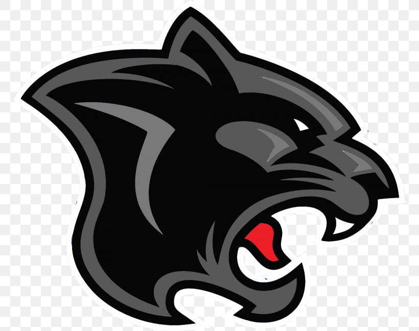 Carolina Panthers Panmure RFC Leopard Chapel District Elementary School, PNG, 768x648px, Panther, Black, Carnivoran, Carolina Panthers, Cat Download Free