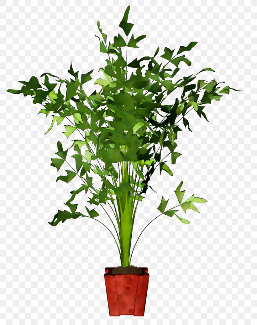 Caryota Mitis Houseplant Plants Flowerpot Hyophorbe Verschaffeltii, PNG, 927x1175px, Caryota Mitis, Anthurium, Areca Palm, Artificial Flower, Bamboo Download Free