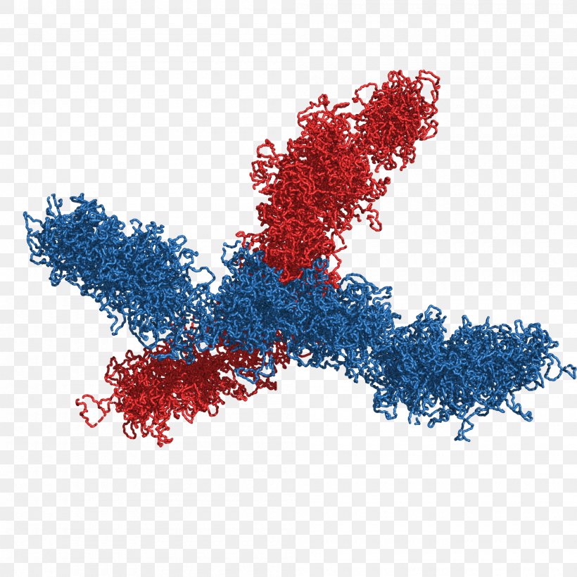 Chromosome Three-dimensional Space Information DNA, PNG, 2000x2000px, Chromosome, Dimension, Dna, Encoding, Feature Story Download Free