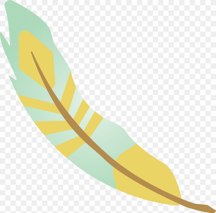 Feather, PNG, 3000x2955px, Cartoon Feather, Angle, Feather, Line, Vintage Feather Download Free