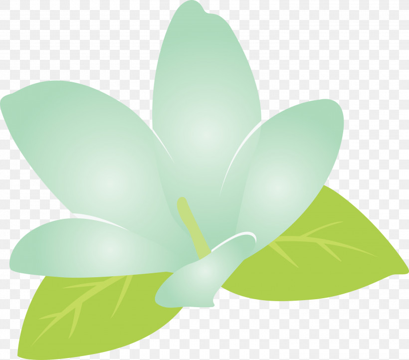 Jasmine Jasmine Flower, PNG, 3000x2645px, Jasmine, Flora, Flower, Green, Jasmine Flower Download Free