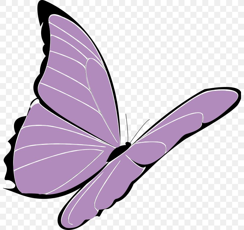 Butterfly Purple Violet Clip Art, PNG, 800x775px, Butterfly, Blog, Blue, Bluegreen, Brush Footed Butterfly Download Free