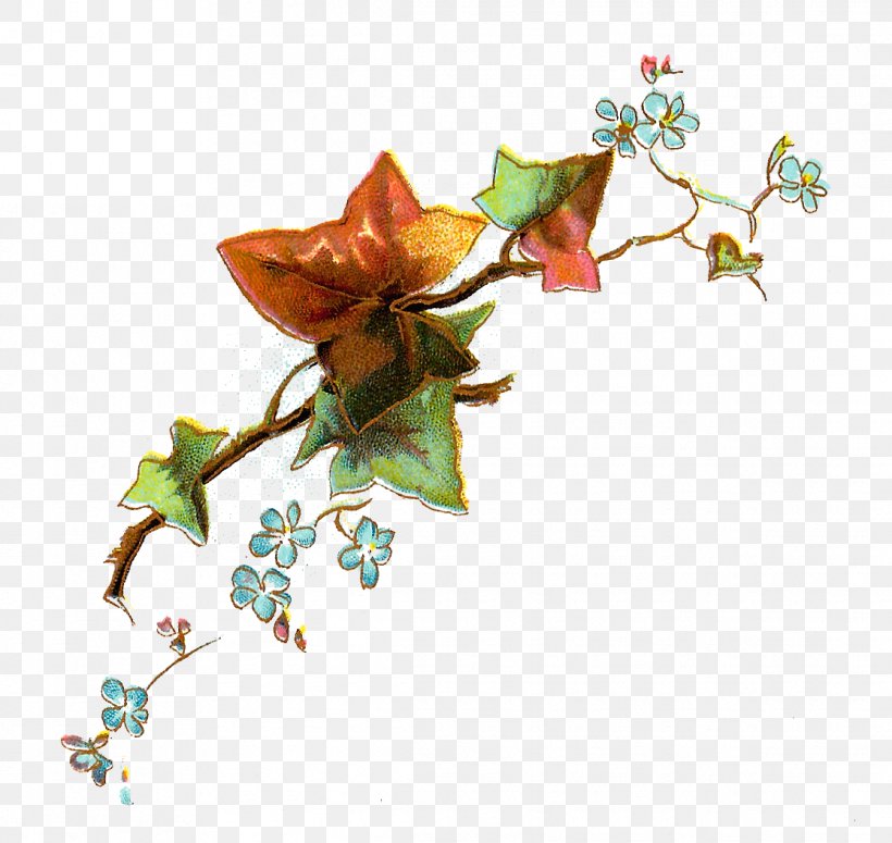 Flower Clip Art, PNG, 1115x1054px, Flower, Blog, Branch, Flora, Flowering Plant Download Free