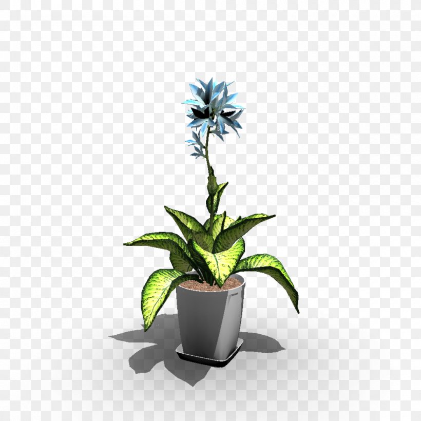 Flowerpot Houseplant Vase Agave, PNG, 1000x1000px, Flowerpot, Agave, Flora, Flower, Flowering Plant Download Free