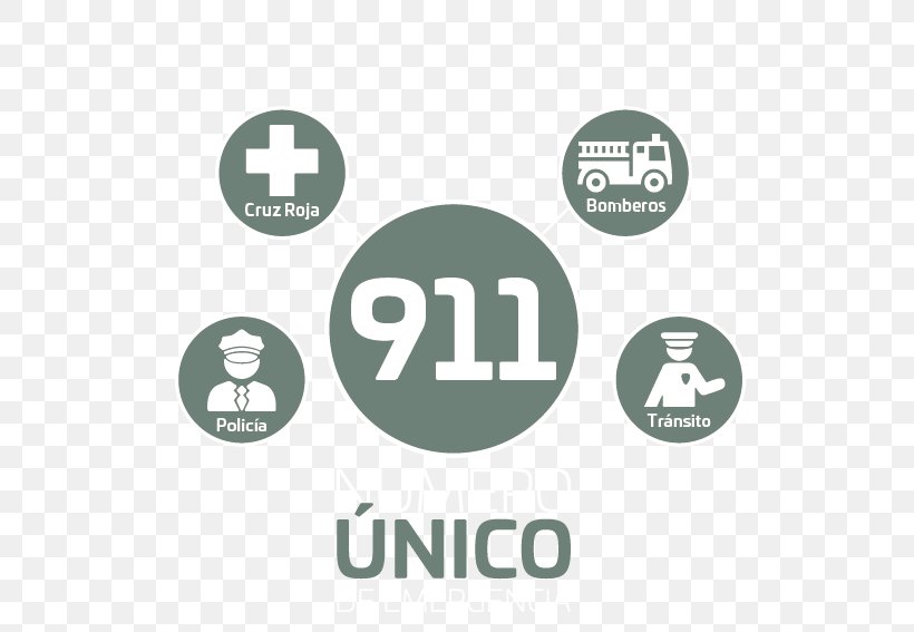 Oaxaca Emergencia Civil Defense 9-1-1 Logo, PNG, 552x567px, Oaxaca, Brand, Civil Defense, Emergencia, Governor Download Free