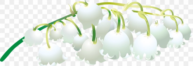 Flower Lilies Madonna Lily Plant Petal, PNG, 1200x411px, Flower, Branch, Computer, Cut Flowers, Family Download Free