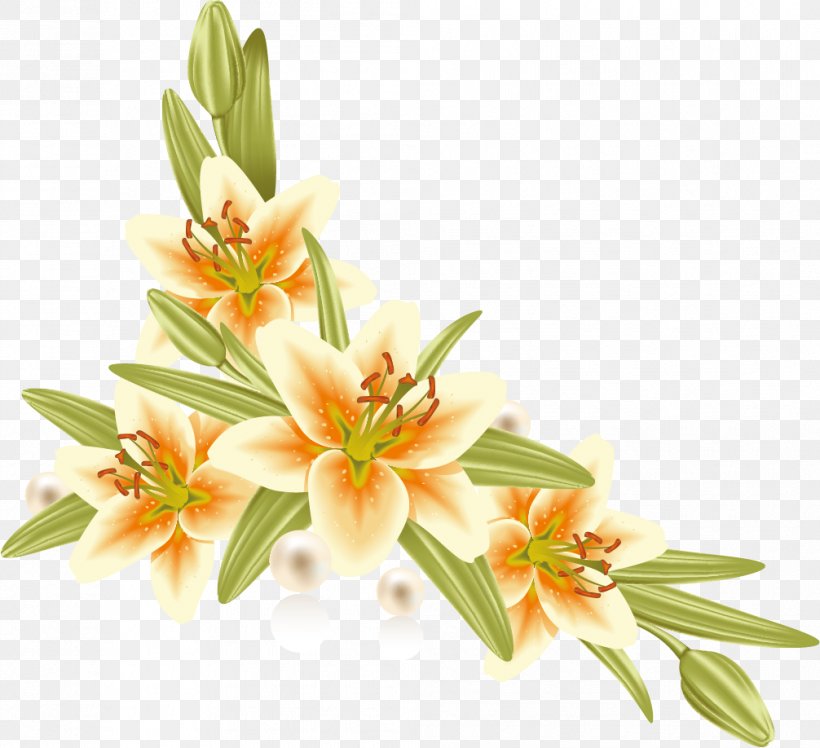 Flower Paper Lilium Photography Picture Frames, PNG, 1006x918px, Flower, Artificial Flower, Blog, Cut Flowers, Drawing Download Free