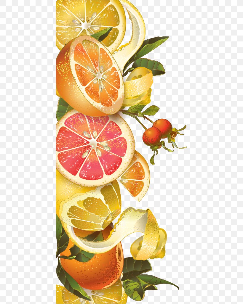 Juice Tea Lemon Grapefruit Berry, PNG, 442x1027px, Juice, Berry, Citrus, Diet Food, Food Download Free