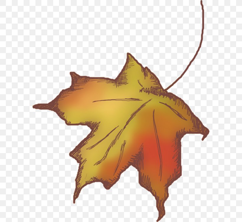 Maple Leaf Deciduous, PNG, 600x754px, Maple Leaf, Deciduous, Flowering Plant, Leaf, Maple Download Free