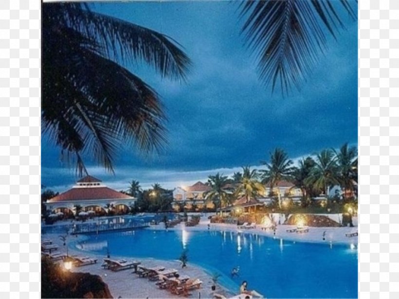 Resort Loews Portofino Bay Hotel At Universal Orlando The Golden Palms Hotel & Spa Swimming Pool, PNG, 1024x768px, Resort, Arecales, Bangalore, Caribbean, Hotel Download Free
