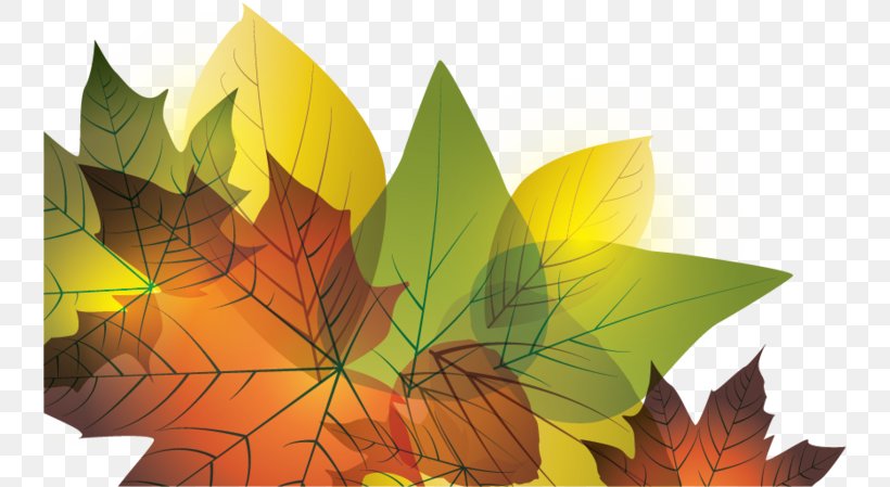 Autumn Leaf Design Vector Graphics Illustration, PNG, 740x449px, Autumn, Art, Art Paper, Floral Design, Leaf Download Free