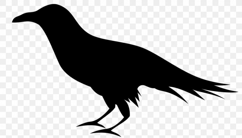Bird Silhouette, PNG, 988x566px, Common Raven, Baltimore Ravens, Beak, Bird, Crow Download Free