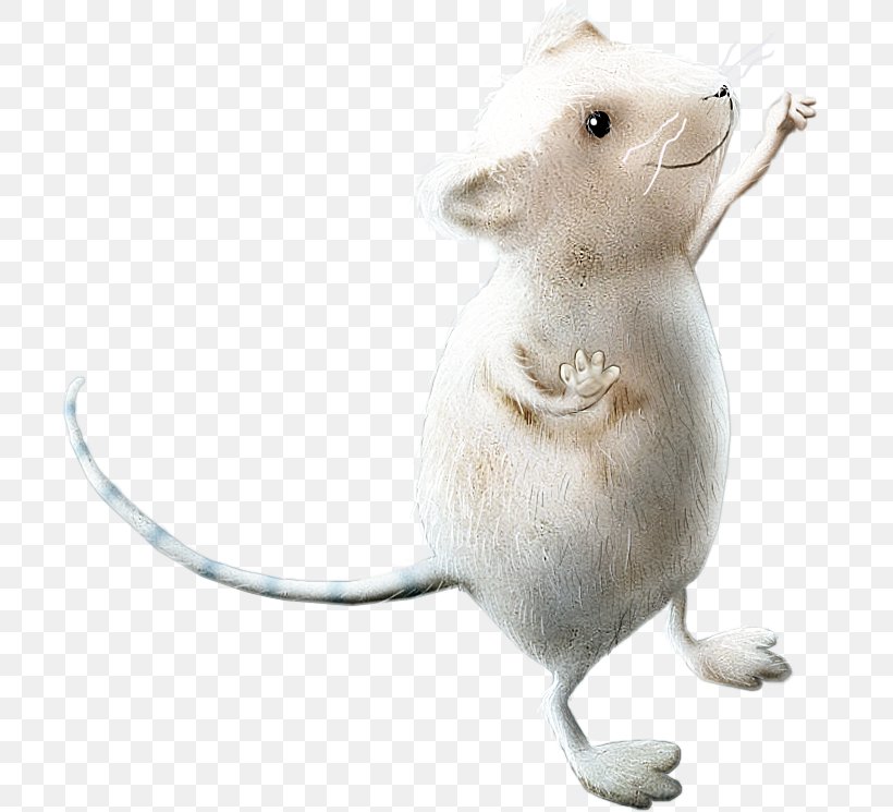 Computer Mouse Rat Fancy Mouse, PNG, 712x745px, Mouse, Circus, Computer Mouse, Fancy Mouse, Gerbil Download Free