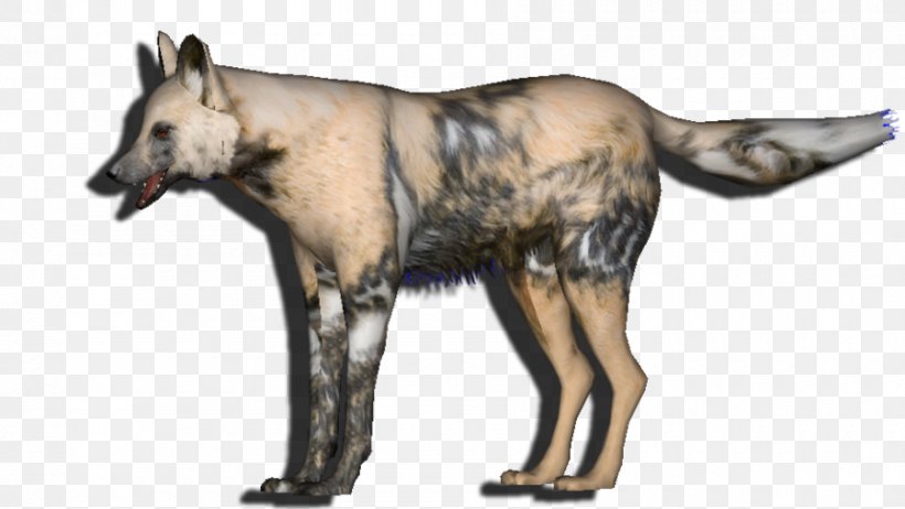 Dog Fauna Snout Wildlife Gray Wolf, PNG, 900x508px, Dog, Carnivoran, Dog Like Mammal, Fauna, Gray Wolf Download Free