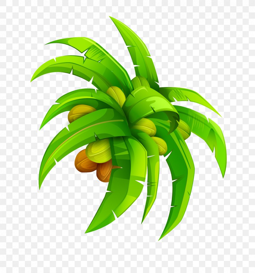 Leaf Coconut Euclidean Vector, PNG, 1655x1775px, Coconut, Drawing, Flowerpot, Fruit, Leaf Download Free