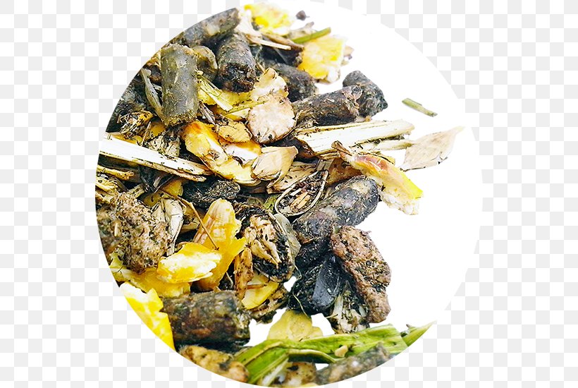 Mussel Recipe Dish Network, PNG, 550x550px, Mussel, Animal Source Foods, Clams Oysters Mussels And Scallops, Dish, Dish Network Download Free