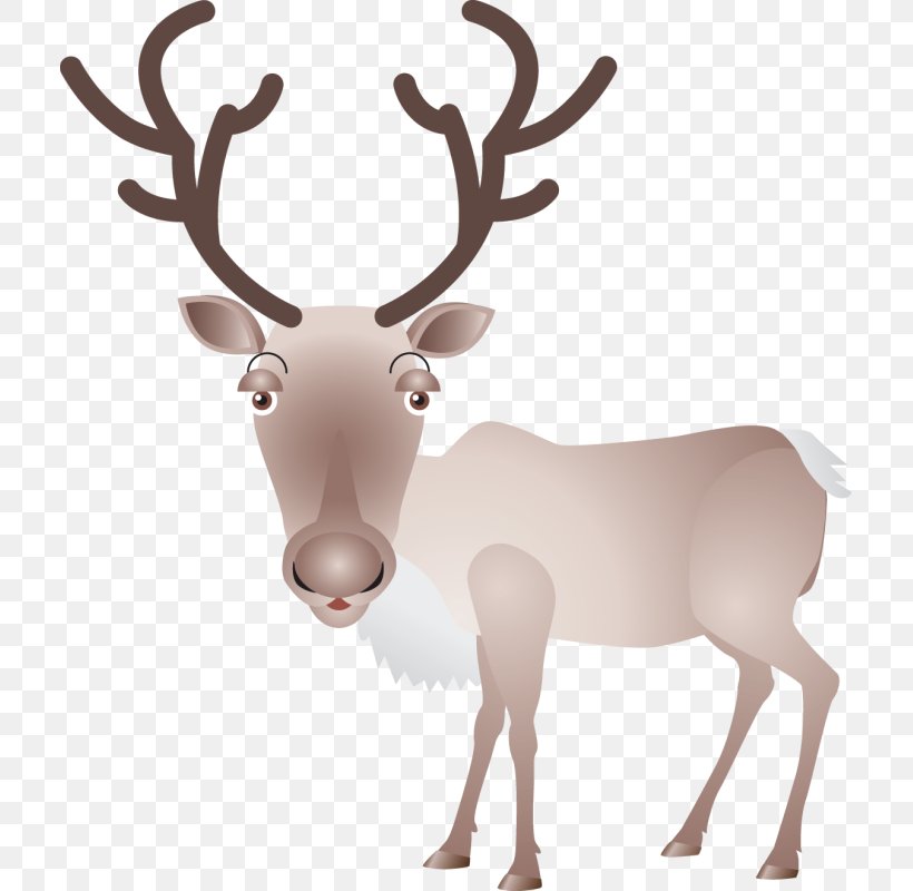 Reindeer Elk Moose Antler, PNG, 711x800px, Reindeer, Animal, Antler, Chital, Deer Download Free