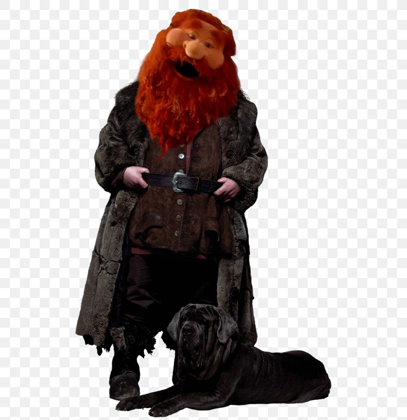 Hermione Granger Rubeus Hagrid Ron Weasley James Potter Lucius Malfoy, PNG, 518x846px, Hermione Granger, Albus Dumbledore, Character, Costume, Fictional Character Download Free