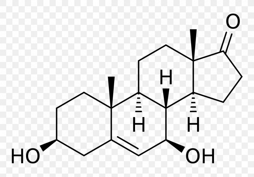 Medroxyprogesterone Acetate Androstenedione Dehydroepiandrosterone Steroid, PNG, 1200x836px, Medroxyprogesterone, Adrenal Gland, Anabolic Steroid, Androstenedione, Area Download Free