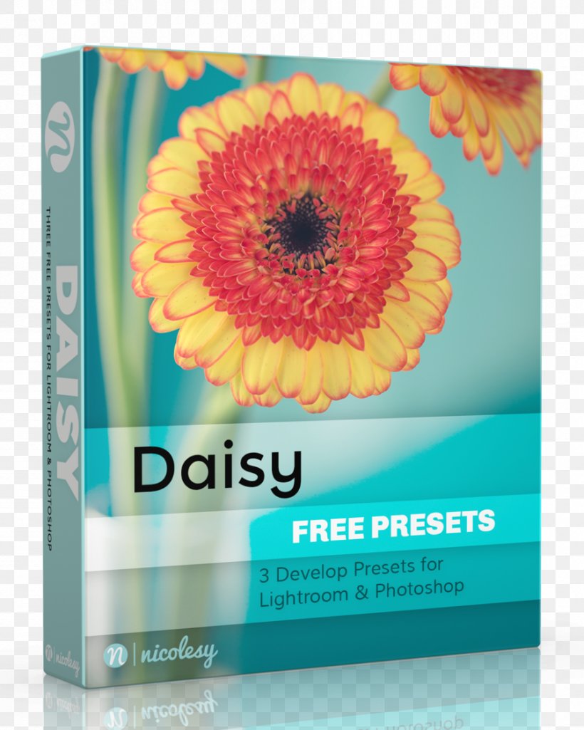 Adobe Lightroom Adobe Creative Cloud Adobe Systems Transvaal Daisy, PNG, 900x1125px, Adobe Lightroom, Adobe Creative Cloud, Adobe Systems, Daisy Family, Flower Download Free