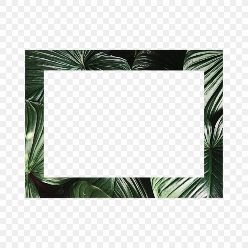 Background Watercolor Frame, PNG, 2048x2048px, Picture Frames, Addicted To My Ex, Branch, Collage, Fern Download Free