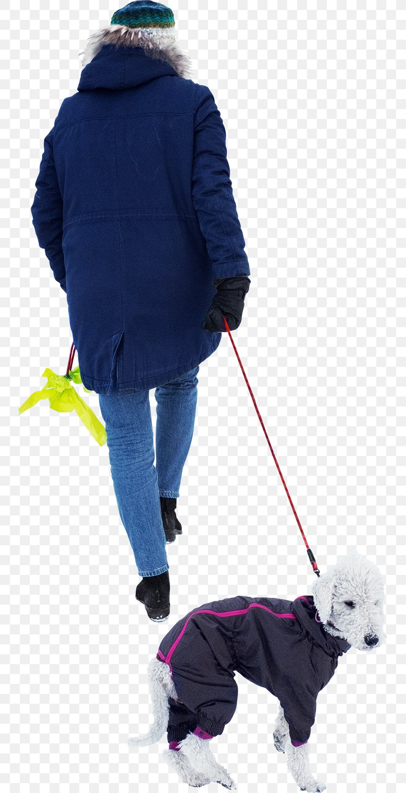 Dog Walking Leash, PNG, 745x1600px, Dog, Bicycle, Cat People And Dog People, Child, Dog Clothes Download Free