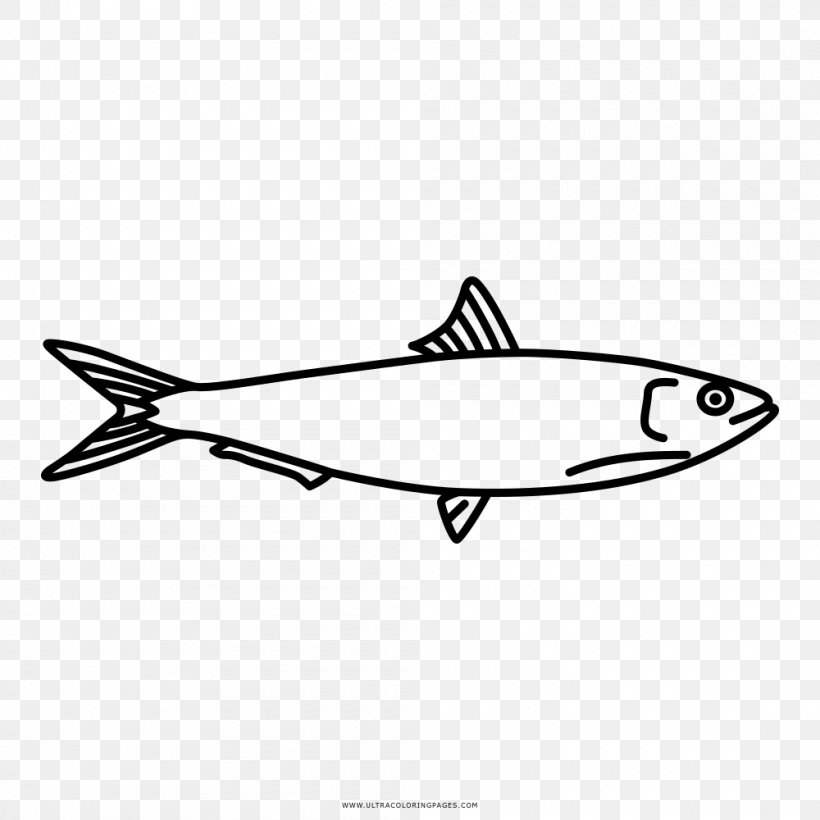 Fish Drawing Sardine Coloring Book, PNG, 1000x1000px, Fish, Anchovy, Ansjosfamilien, Askartelu, Black Download Free