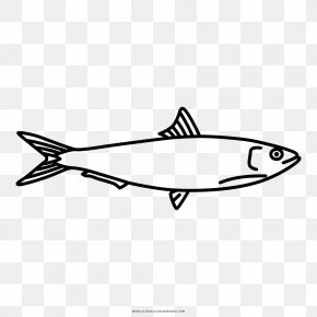 sardine and coloring pages