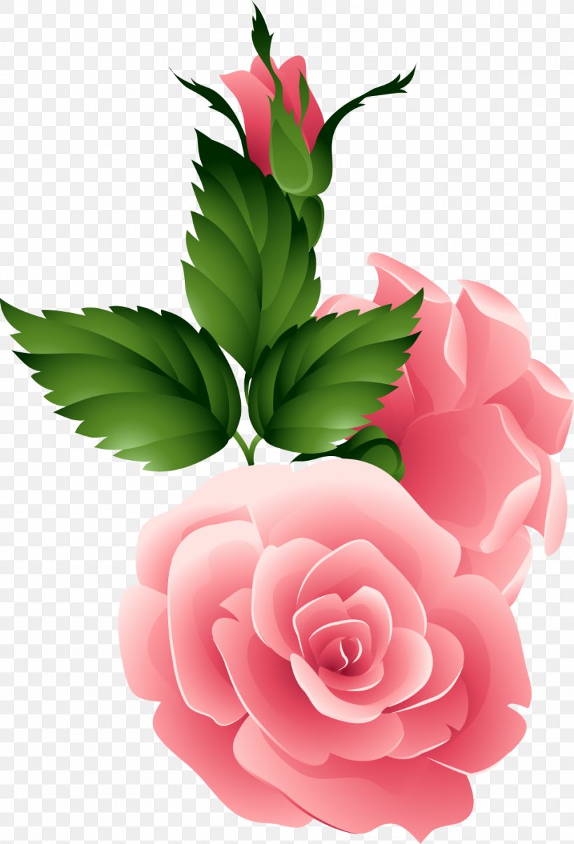Flower Garden Roses Night Morning, PNG, 963x1416px, Flower, Afternoon, Cut Flowers, Floral Design, Floristry Download Free