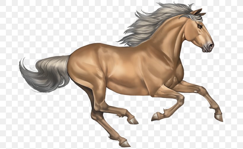 Ford Mustang Clip Art Stallion, PNG, 700x503px, Mustang, American Paint Horse, Animal Figure, Animation, Buckskin Download Free
