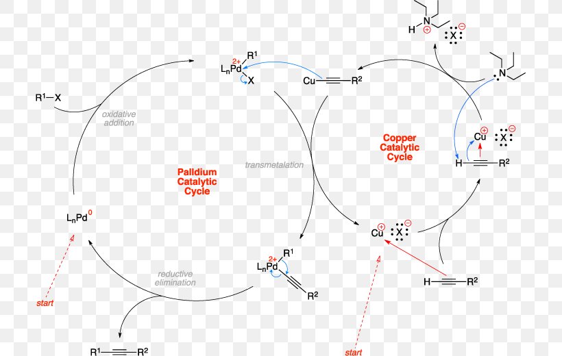 Line Point Angle, PNG, 715x520px, Point, Area, Diagram, Map, Tuberculosis Download Free