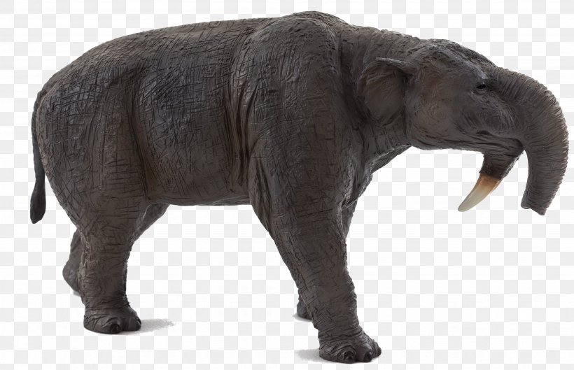 Deinotherium Prehistory Amazon.com Dinosaur Megacerops, PNG, 4112x2657px, Deinotherium, Adrienne Mayor, African Elephant, Amazoncom, Animal Figure Download Free