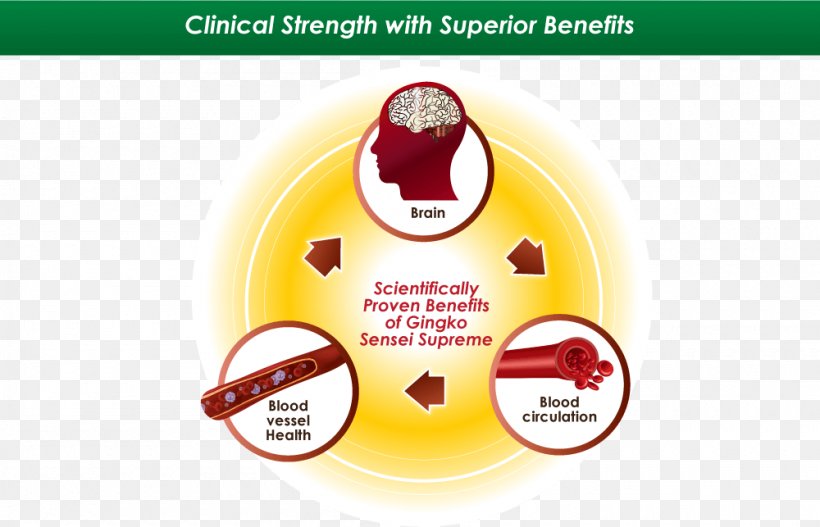 Ginkgo Biloba Circulatory System Blood Health Nutrient, PNG, 1000x643px, Ginkgo Biloba, Blood, Blood Pressure, Blood Vessel, Brand Download Free