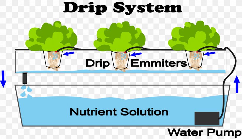 Hydroponics Drip Irrigation Aquaponics Nutrient Agriculture, PNG, 2034x1174px, Hydroponics, Agriculture, Aquaponics, Area, Brand Download Free