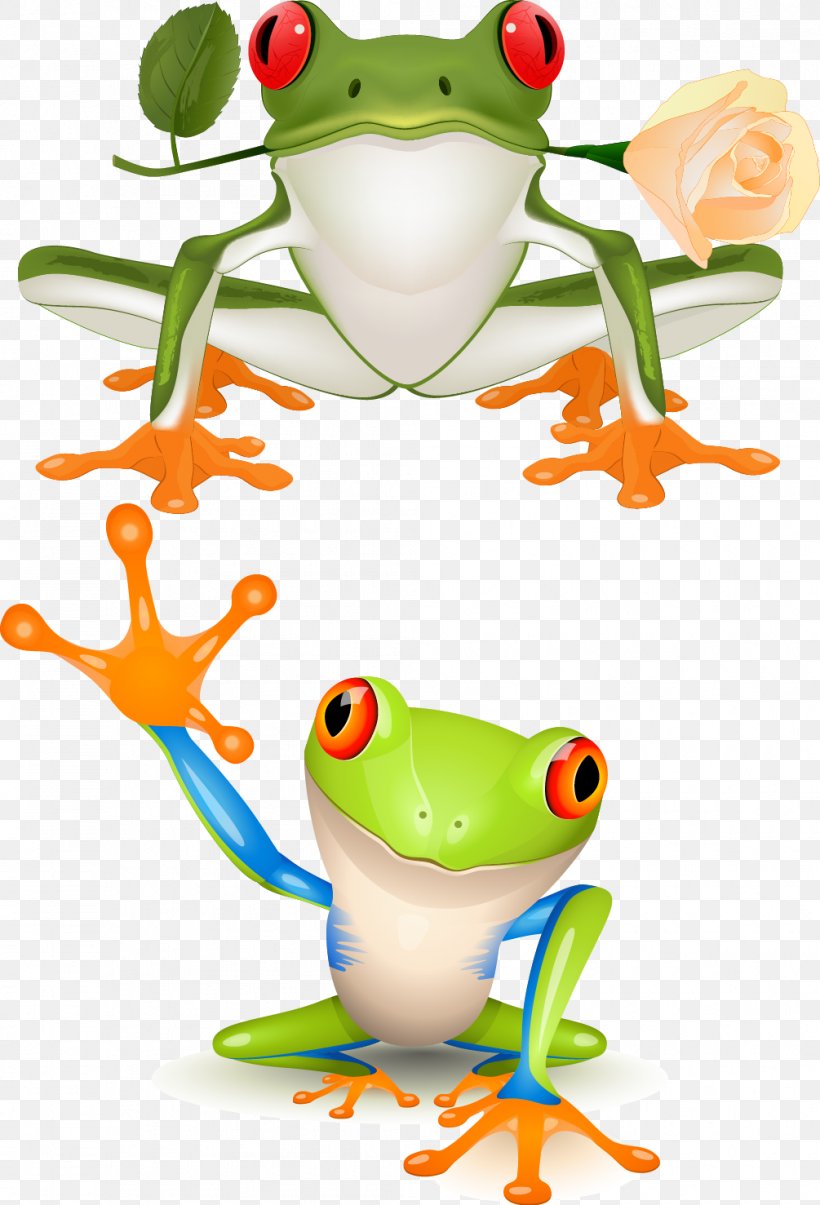 Red-eyed Tree Frog Clip Art, PNG, 1005x1477px, Frog, Amphibian, Australian Green Tree Frog, Cartoon, Grass Download Free
