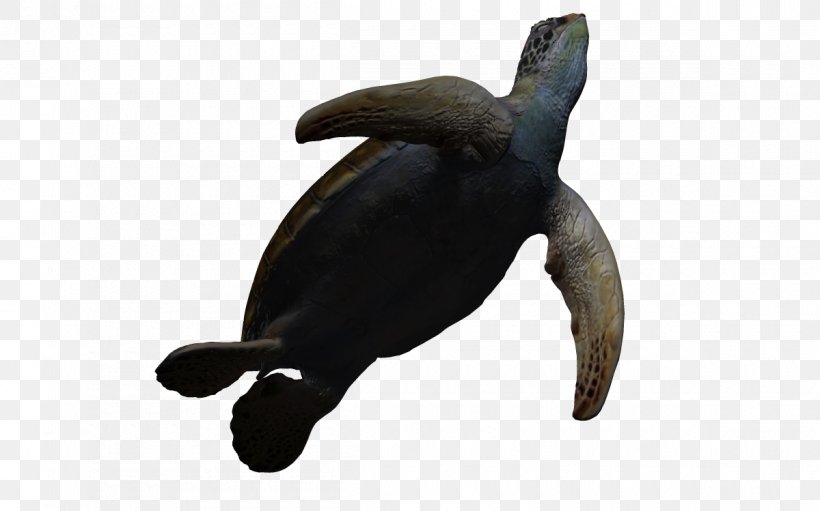 Sea Turtle Three-dimensional Space 3D Computer Graphics Animation, PNG, 1200x749px, 3d Computer Graphics, Turtle, Animal, Animation, Cartoon Download Free