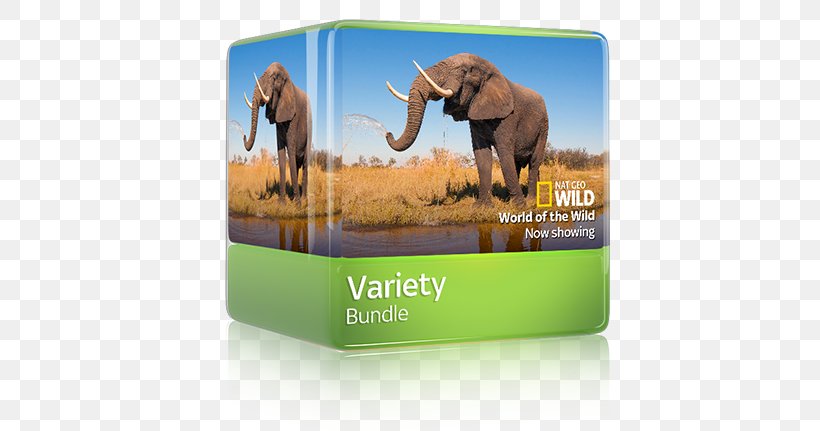 Sticker Atlas Of The World Activity Book Elephantidae Brand, PNG, 767x431px, Elephantidae, Book, Brand, Elephant, Elephants And Mammoths Download Free