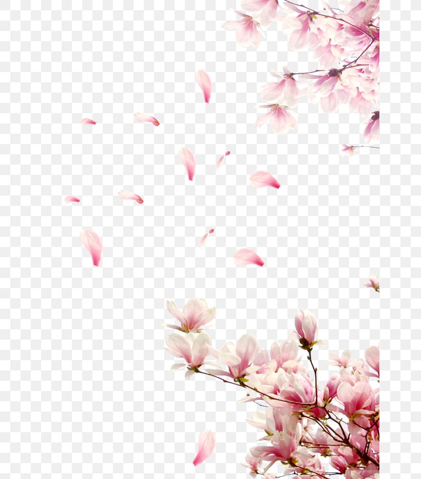 Cherry Blossom Clip Art, PNG, 658x931px, Cherry Blossom, Artworks, Blossom, Branch, Floral Design Download Free